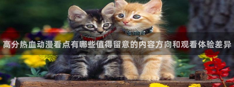 卖漫蛙：高分热血动漫看点有哪些值得留意的内容方向和观看体验差异配图
