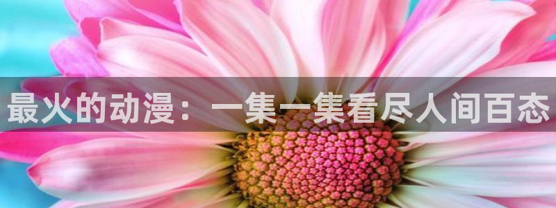 腐漫蛙：最火的动漫：一集一集看尽人间百态配图