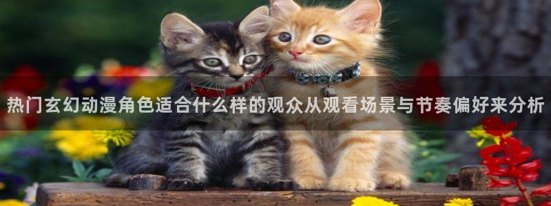 漫蛙4:热门玄幻动漫角色适合什么样的观众从观看场景与节奏偏好来分析配图