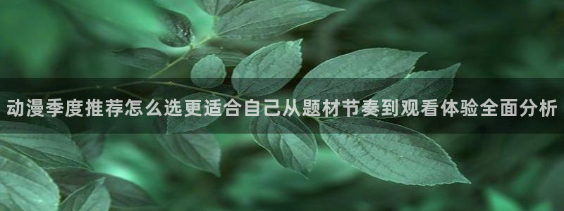 蛙漫里:动漫季度推荐怎么选更适合自己从题材节奏到观看体验全面分析配图